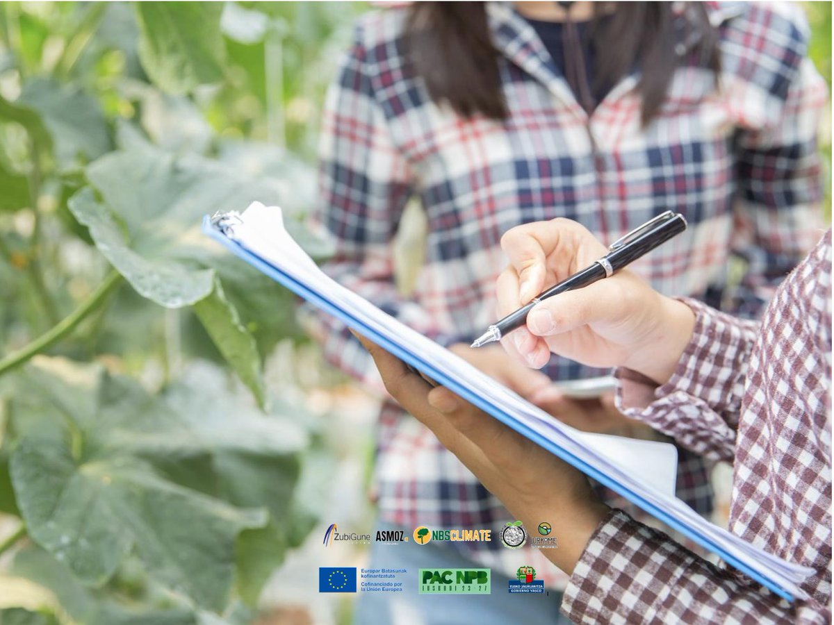 AMIA analisi bat garatu dugu, tokiko liho-ekoizleen indarguneak, ahuleziak eta aukerak identifikatzeko. Informazio hori funtsezkoa izango da gure lurralde-errealitatera egokitutako eredu bat diseinatzeko.
#LihoEkologikoa #EuskadiBerdea