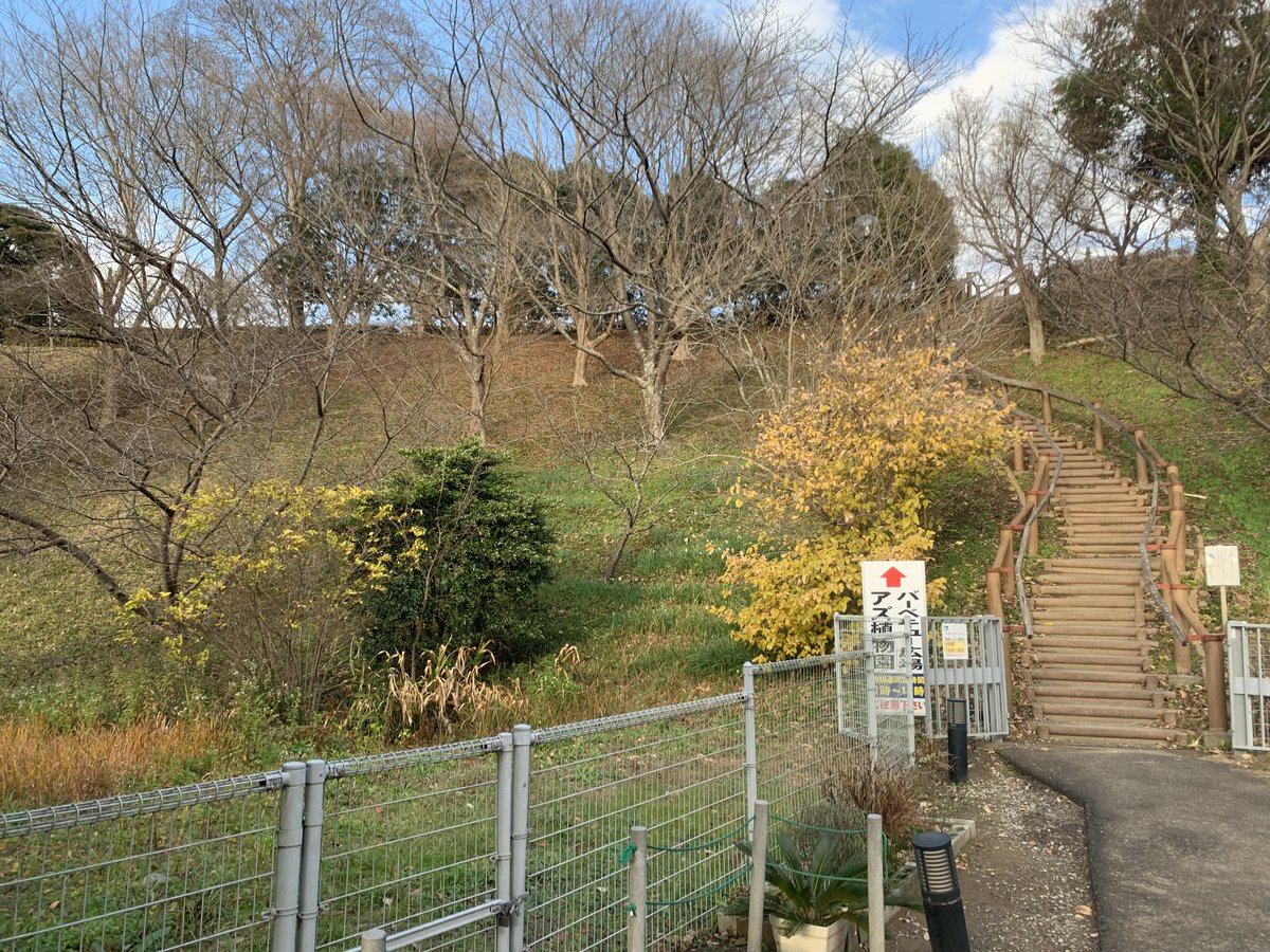 noirdaily's tweet photo. 週末によった道の駅が、ノアとも来たところだった
ハーネスつけて散歩しようとしたら、うまいこと脱いじゃって焦った、まだ知らないところで散歩させることはなかったので
その後、いっぱい車が止まっている駐車場の中で、うちの車に向かって走って行ったので天才！と思ったなぁ♪( ´θ｀)
会いたい https://t.co/QLQMOWfj1z