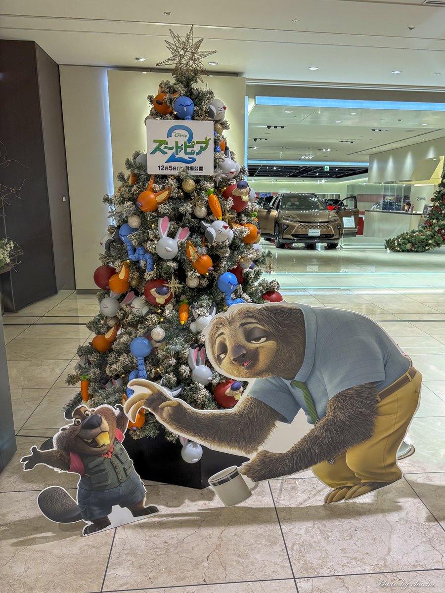 chacha○ (@chacha31240094) / Posts / X