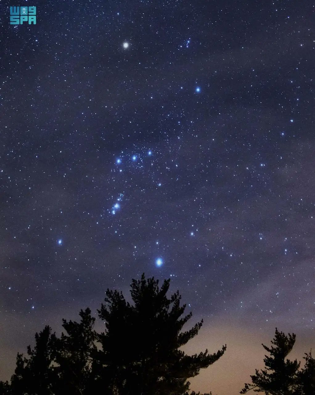فلكية جدة: النجوم أكثر لمعانًا في فصل الشتاء 