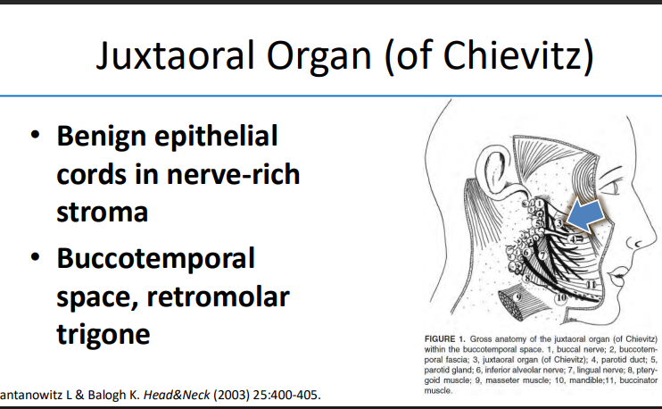Janira Navarro tweet media