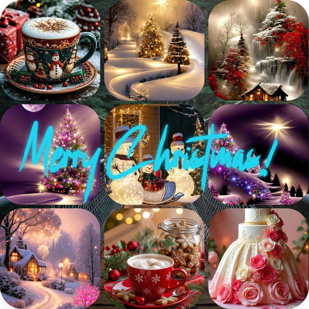 collaigo's tweet image. 