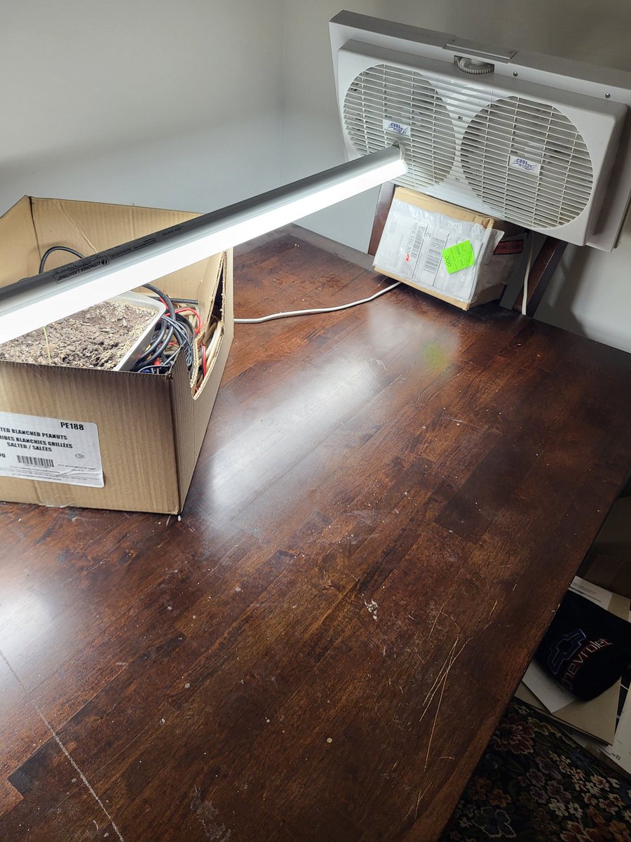 BDedick76570's tweet image. #breakfast #bacon #tossed #salad mmmmm