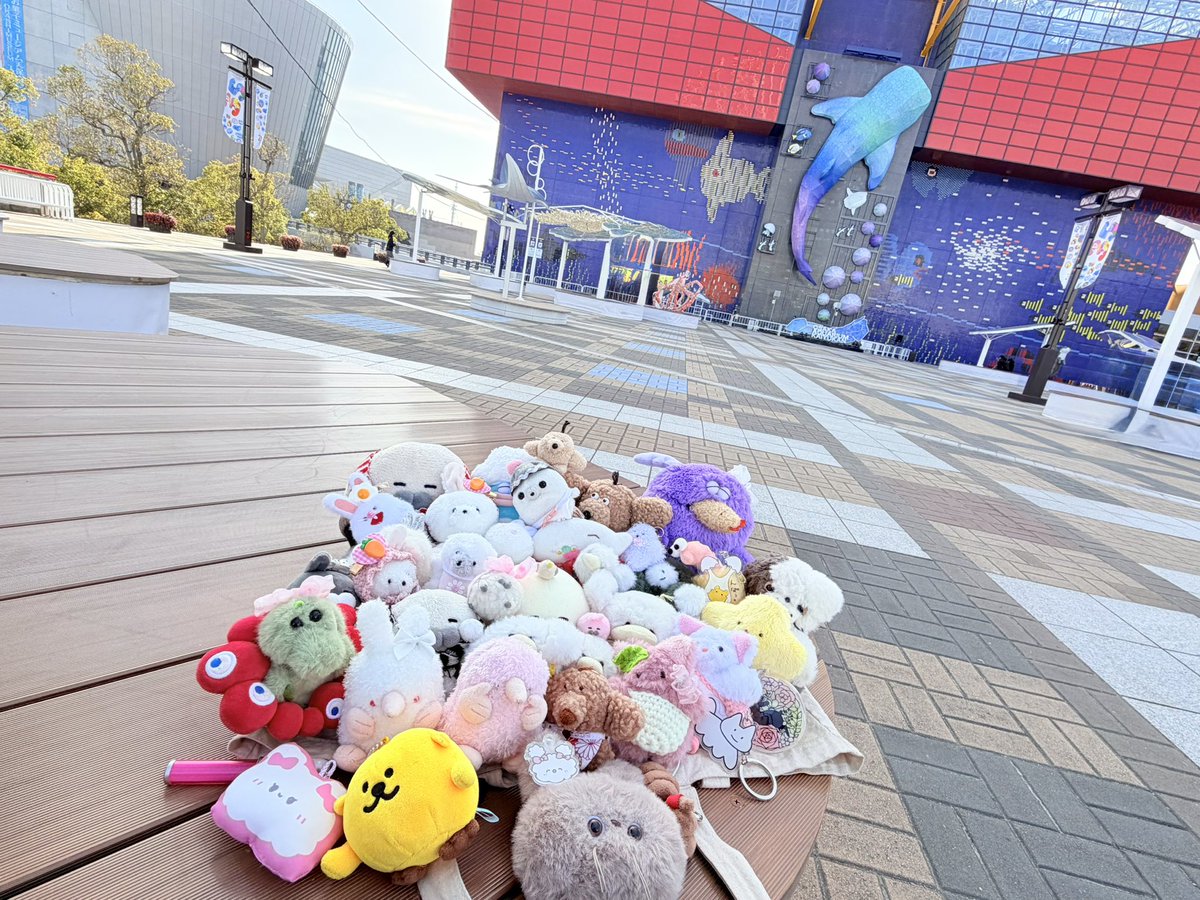 あにゃ。 (@love_sweets0308) / Posts / X