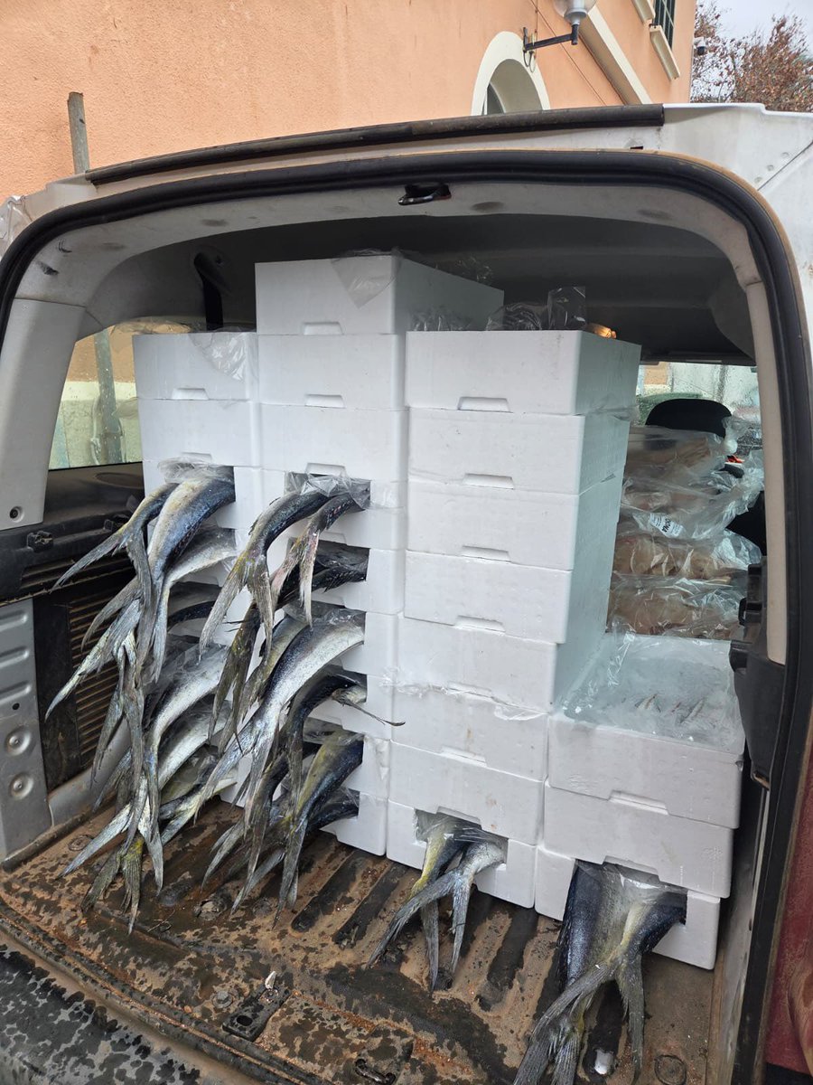 Opmallorcamar tweet media