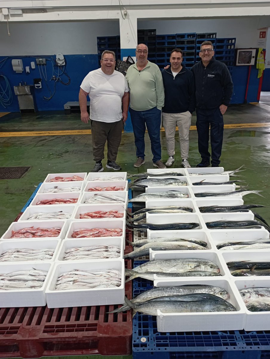 Opmallorcamar tweet media