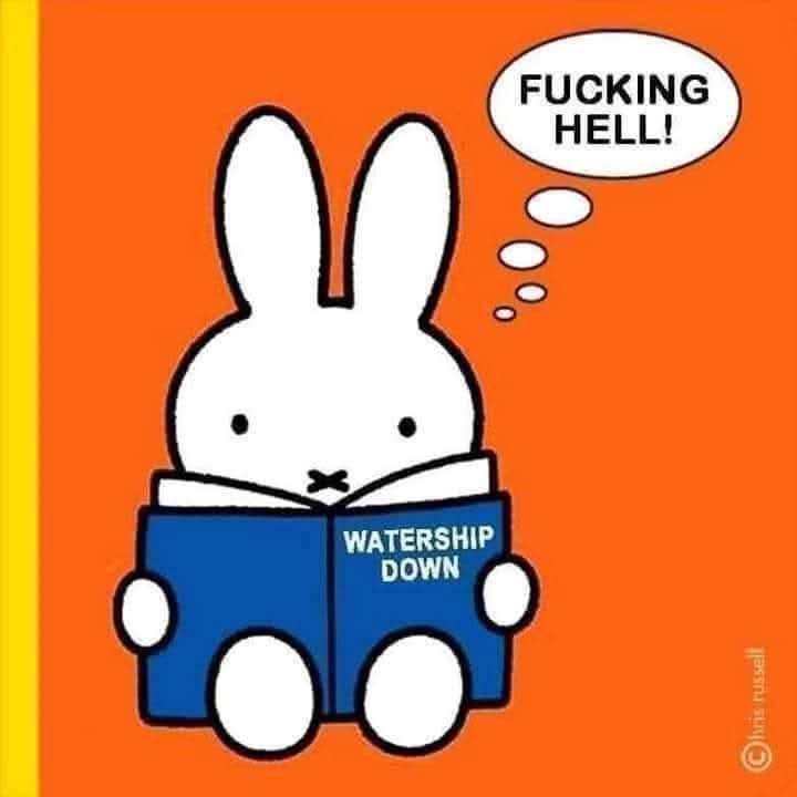 paulwall1970's tweet image. 