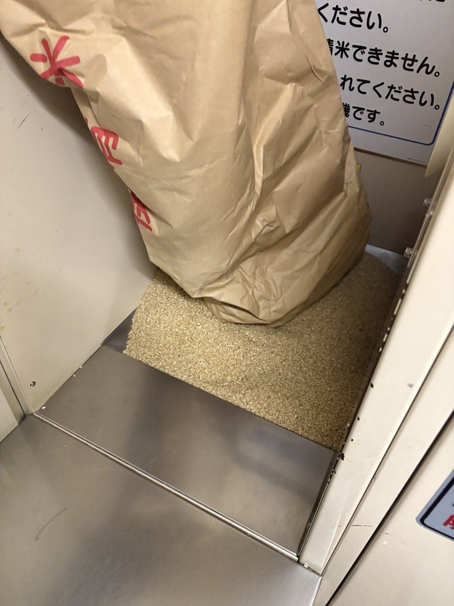 よっこ (@tukumoto819) / Posts / X