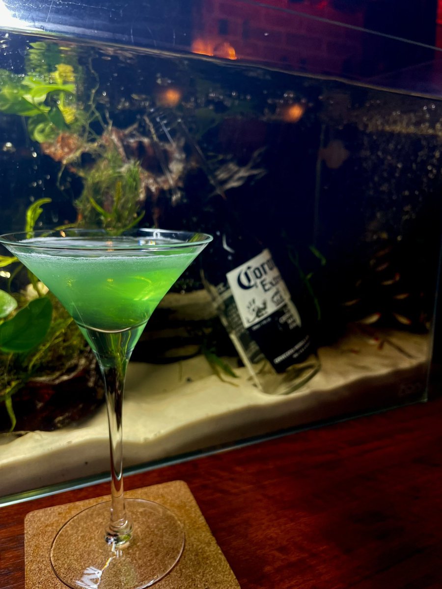 Bar蛇と猫【すすきのカジュアルバー】 tweet media