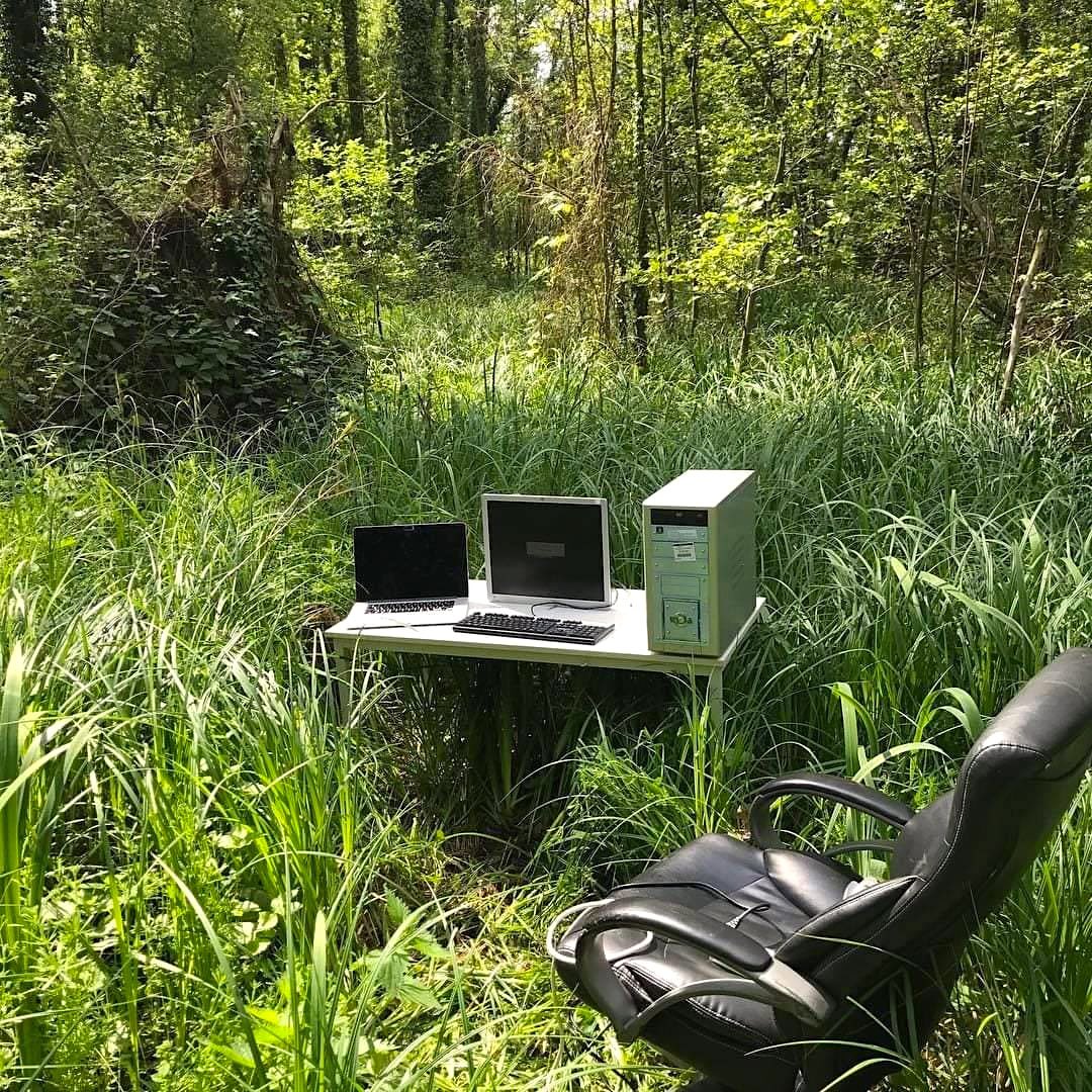 JWU 闭嘴 (🇫🇷,🇰🇾, 💹,🧲) tweet media