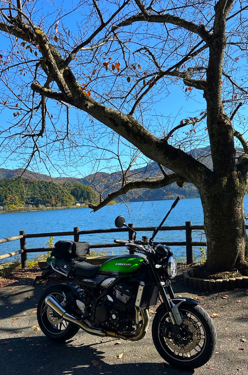 とらちゃん (@torachan675r1) / Posts / X