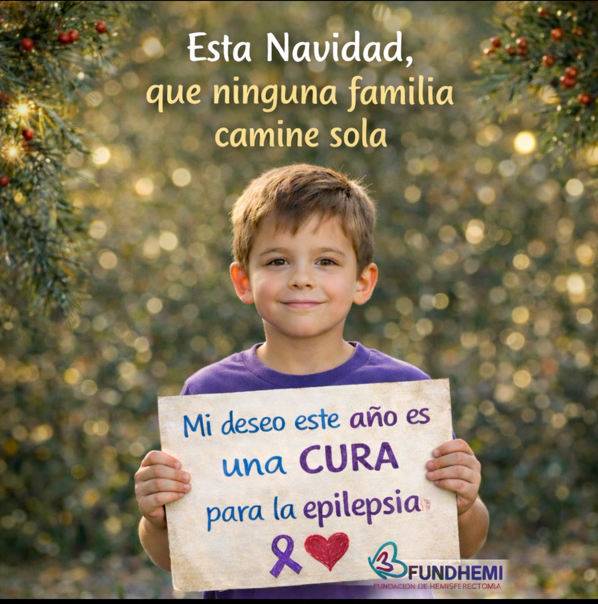 Fundación de Hemisferectomía tweet media