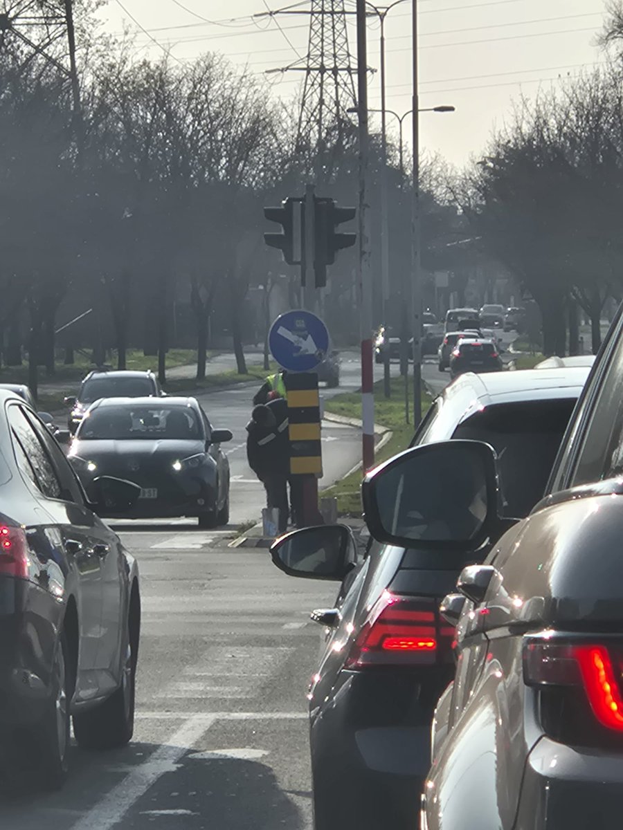 zvondusno's tweet image. Prekreceni oni lilihipovi na Bezaniji! 💃💃💃🍿
Hvala svima sto su delili, zvali, pisali mailove. Besan narod svasta moze. 💞🫂