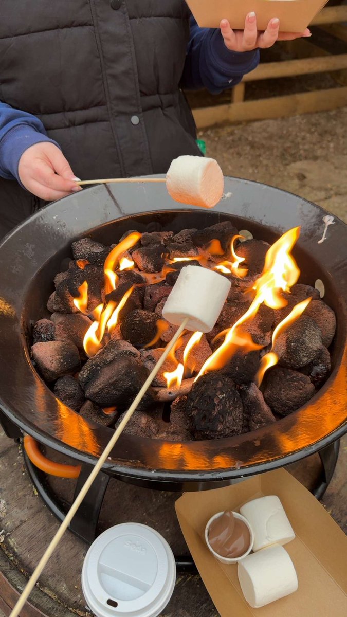 Tony Marflitt tweet media