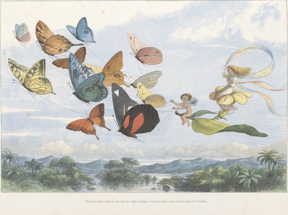 The Library of Trinity College Dublin tweet media