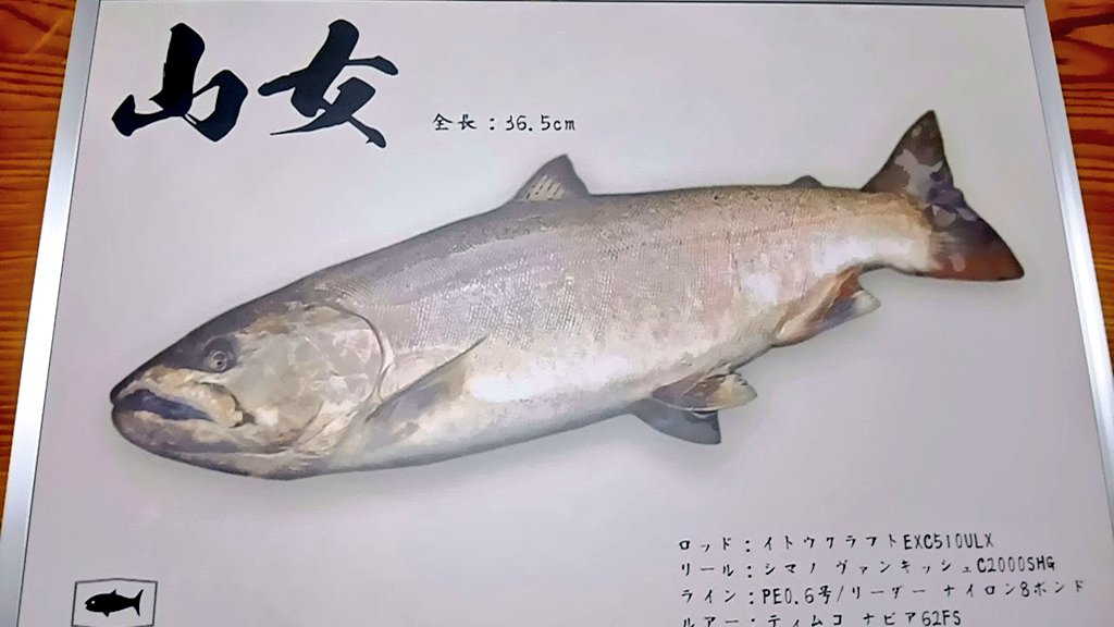 ヤマメ275chan4点まとめて YAMAGA Blanks 88 CHAIN | YAMAGA BlanksYAMAGA Blanks