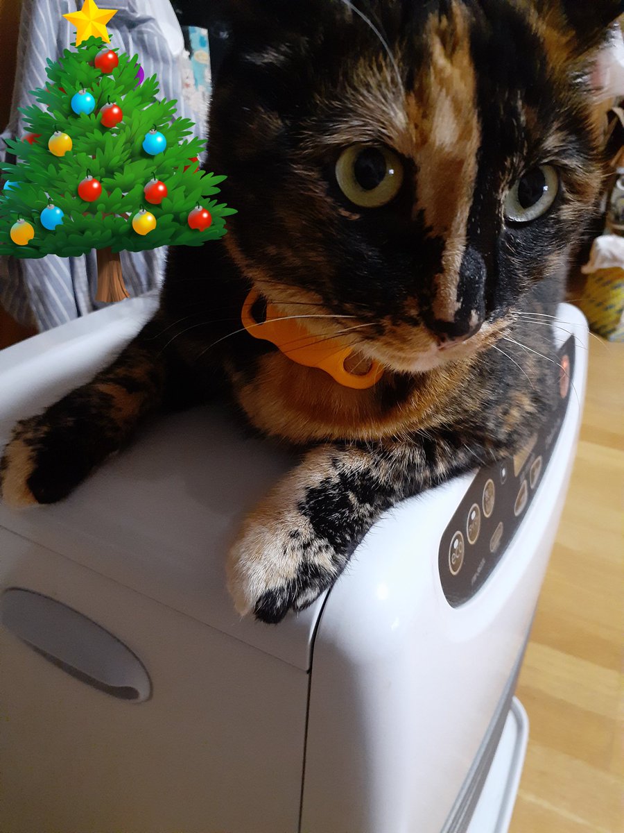 はるるん (@RNPrJ9xfX3PSoaA) / Posts / X