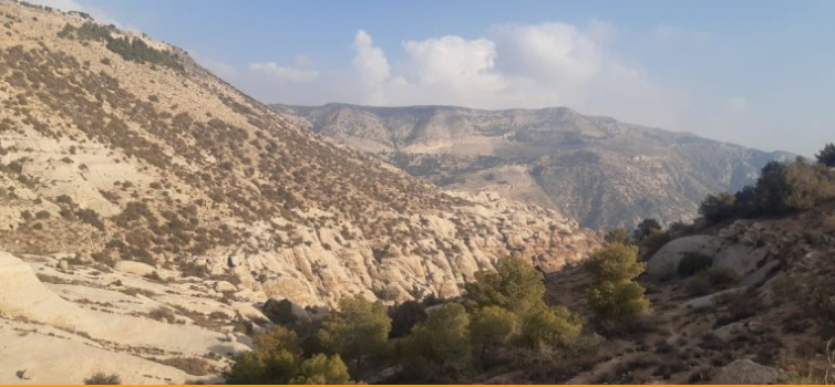 تقرير ديوان المحاسبة 2024: تأخر نقل ملكية أراضي بصيرا بعد استملاكها للأشغال العامة 