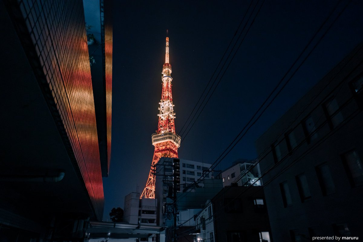 まるる (@MARURU_restart) / Posts / X