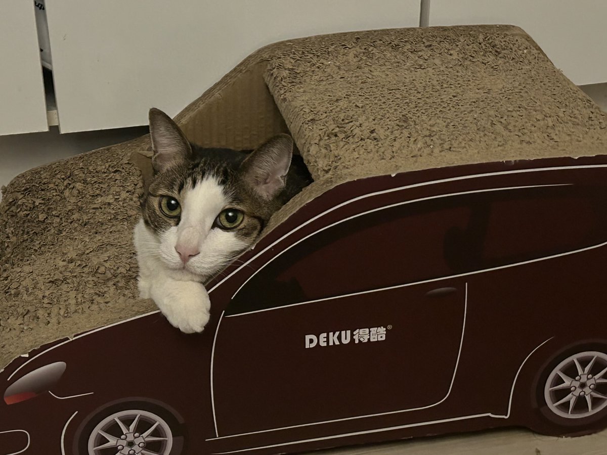 너 혼자 갓다와 난 차안에서 기다릴겡