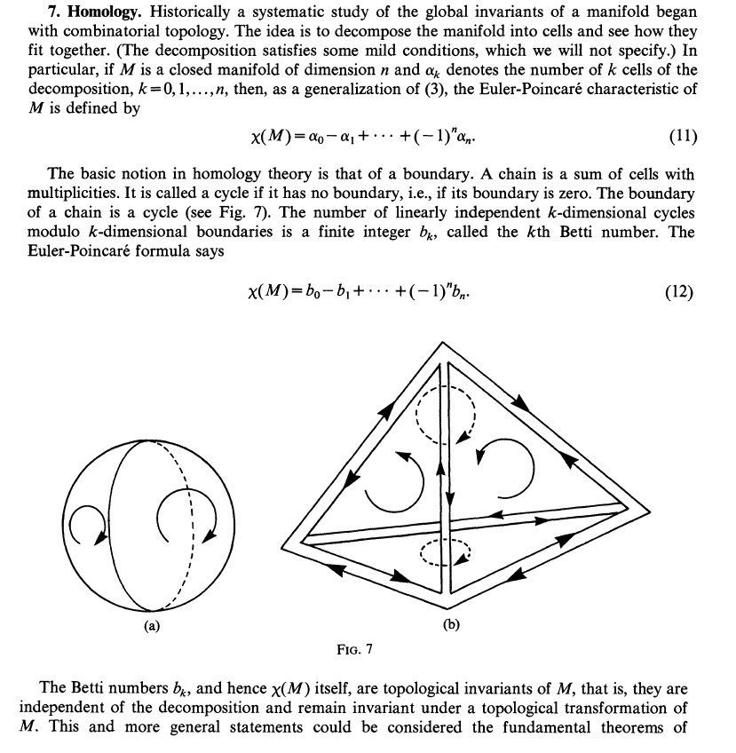 Yet another excellent "popular geometry" article:

"From Triangles to Manifolds"
by Shing-Shen Chern 

Great introduction to homology, homotopy, cohomology and vector bundles!