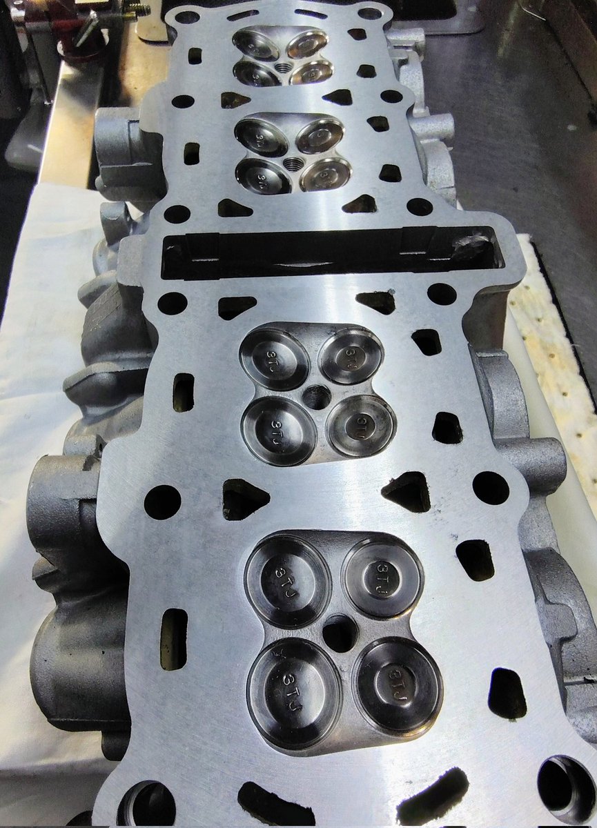 チャリEL [ChariEL] (@chariEL69) / Posts / X