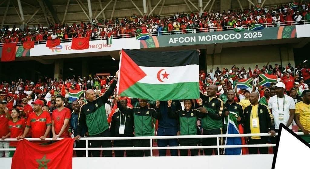 solidaridadsaharaui tweet media