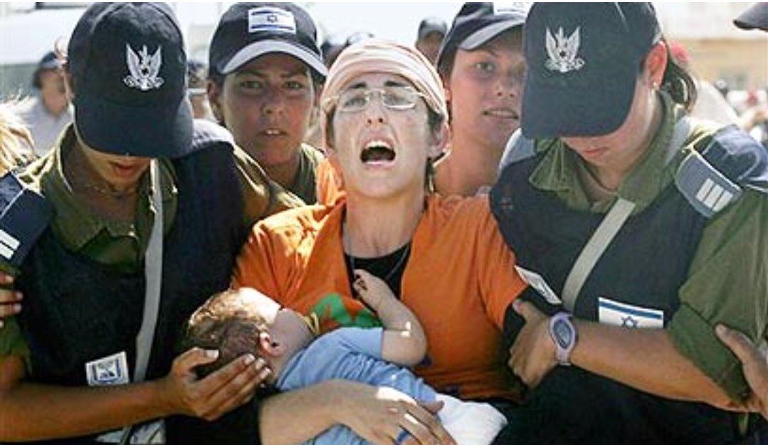 mode_ve_ozev's tweet image. "חיילים לא צריכים להתעמת עם אזרחים" אומר ראש אכ"א בתקופת הגירוש. שמן על קנבס: