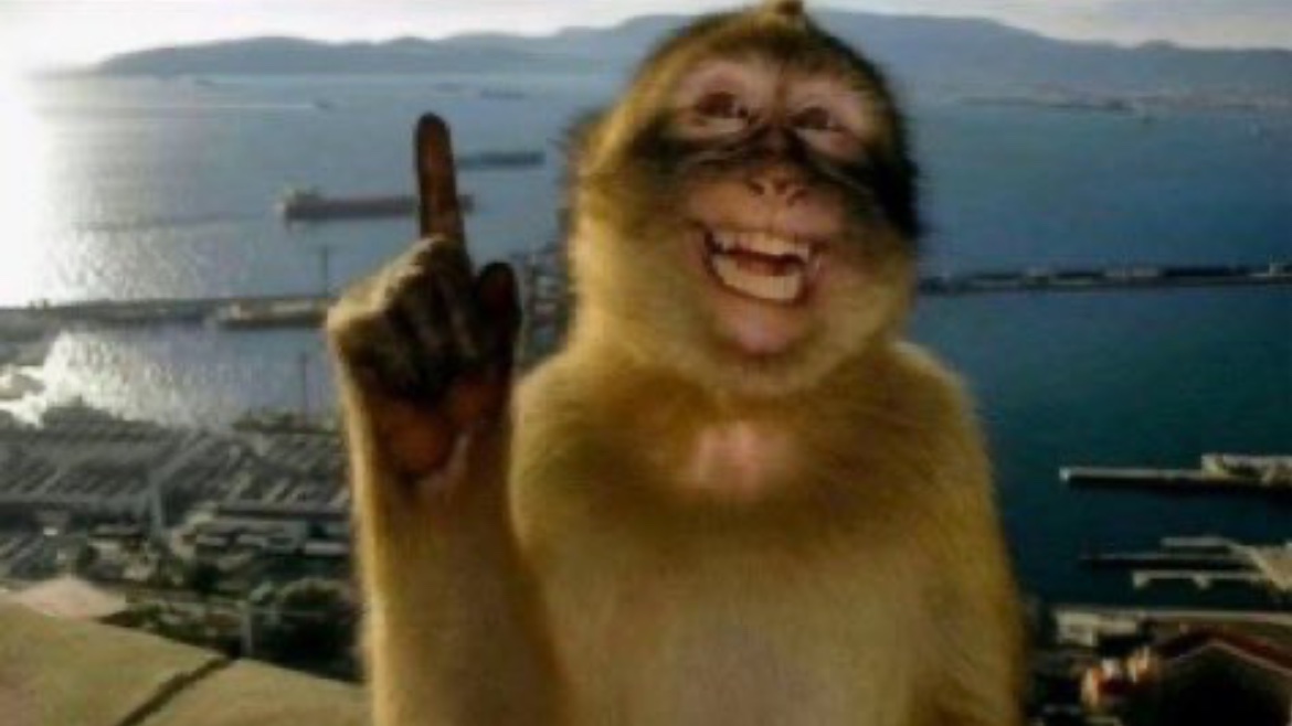 stebsrn's tweet image. graças a Deus o preço das havaianas vão cair