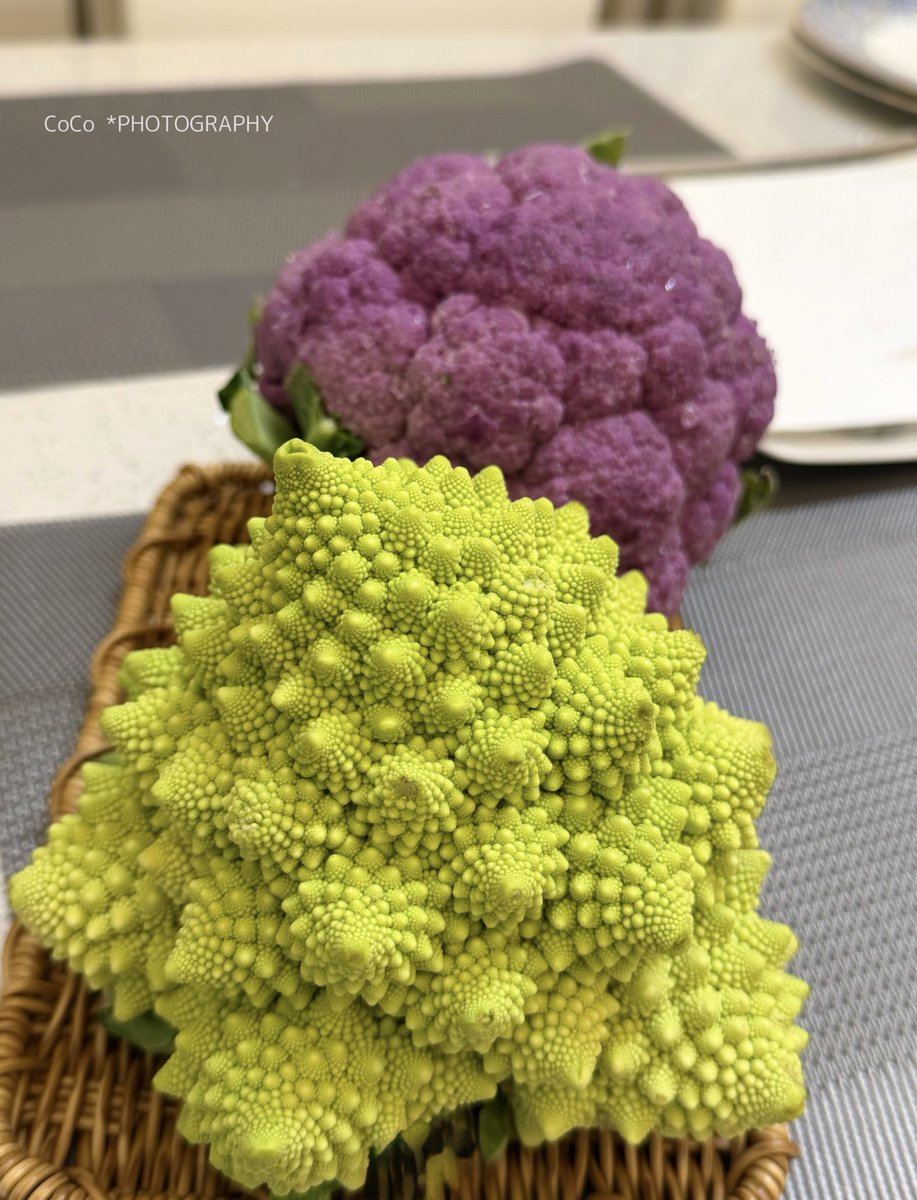 まつこ　ティーポットなど　17点まとめて　F　R9144B coco (@39coco39coco) / Posts / X