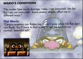 Just a friendly reminder that Wario is immortal