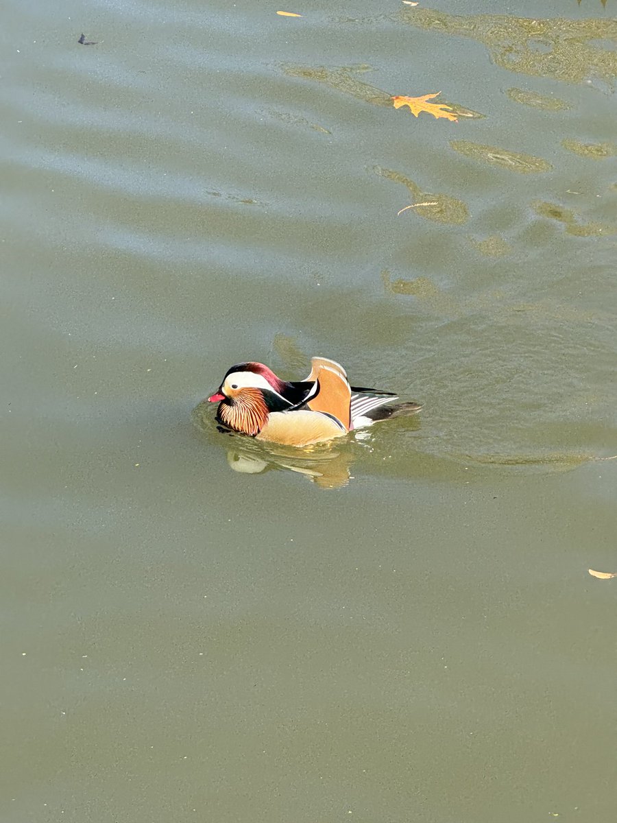 Cursed☠️ tweet media