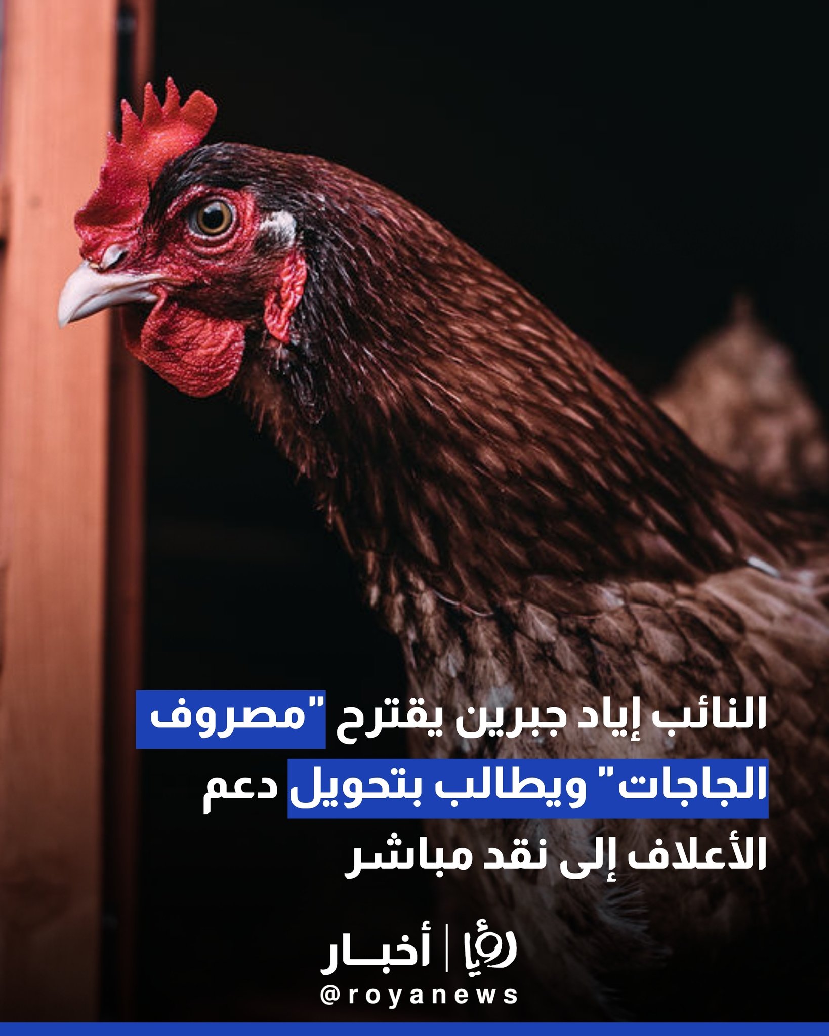 النائب إياد جبرين يقترح "مصروف الجاجات" ويطالب بتحويل دعم الأعلاف إلى نقد مباشر 