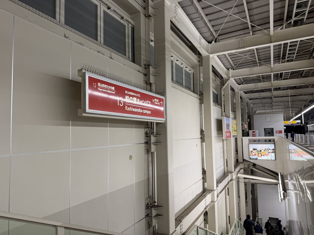 ここで待ってたら誰か通る予感が