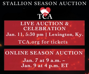 The TCA Stallion Season Auction is our largest annual fundraiser, supporting charities that care for Thoroughbreds and the people behind them. 🐎❤️
Over 100 stallion seasons (and climbing!)
📅 Online Jan 7–9, 2026
👉 Preview Seasons: loom.ly/wkQfKdk