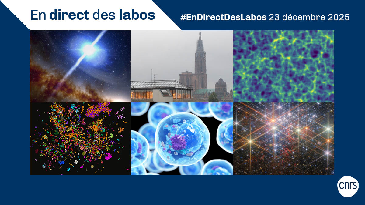 CNRS's tweet image. #EnDirectDesLabos 🔎 Nouvelles actualités scientifiques 🔬, création de laboratoires 👨‍🔬, annonce de prix 🏅... Retrouvez toutes les deux semaines les informations issues des laboratoires du @CNRS.

👉cnrs.fr/endirectdeslab…