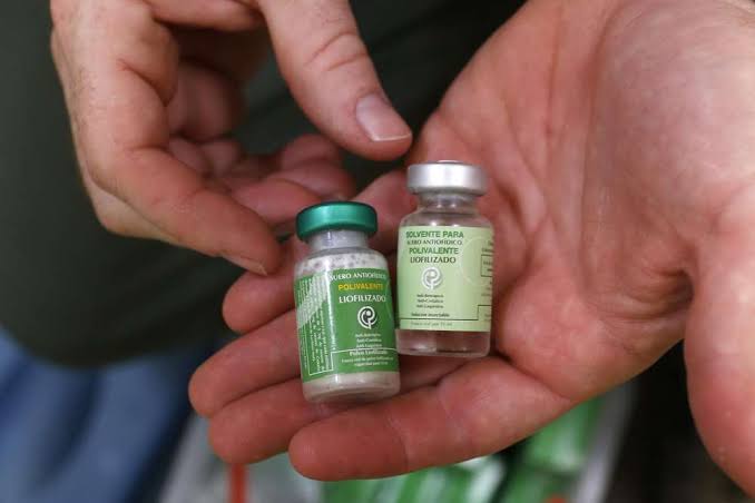 sholard_mancity's tweet image. My fellow Kenyans,
What I am asking for is simple and affects all of us.

Every hospital must have snake anti-venom and other life-saving drugs.

I know some of you support the govt, that is okay.

For once, let’s put politics aside and speak as human beings.
Any one of us can be…