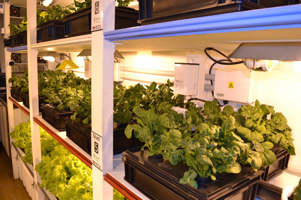 INTAInforma's tweet image. Desarrollan un módulo hidropónico para producir vegetales en espacios reducidos 🥬 

Es un trabajo del INTA y la @UnlamOficial. El prototipo se inicia a partir de la experiencia del Módulo Antártico de Producción Hidropónica (MAPHI).

👉🏼bit.ly/3Y5jd73