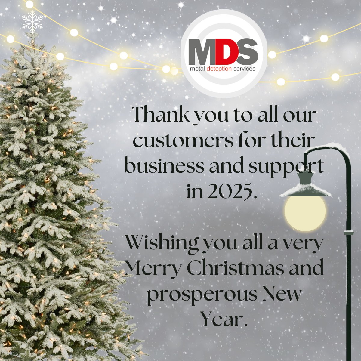 Metal Detection Services tweet media