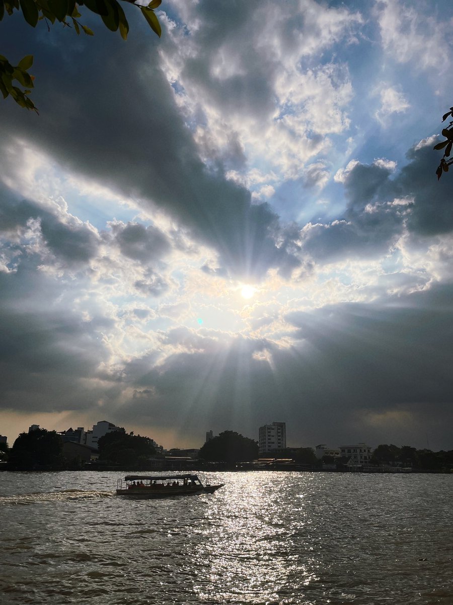 COLLAGECANTO tweet media