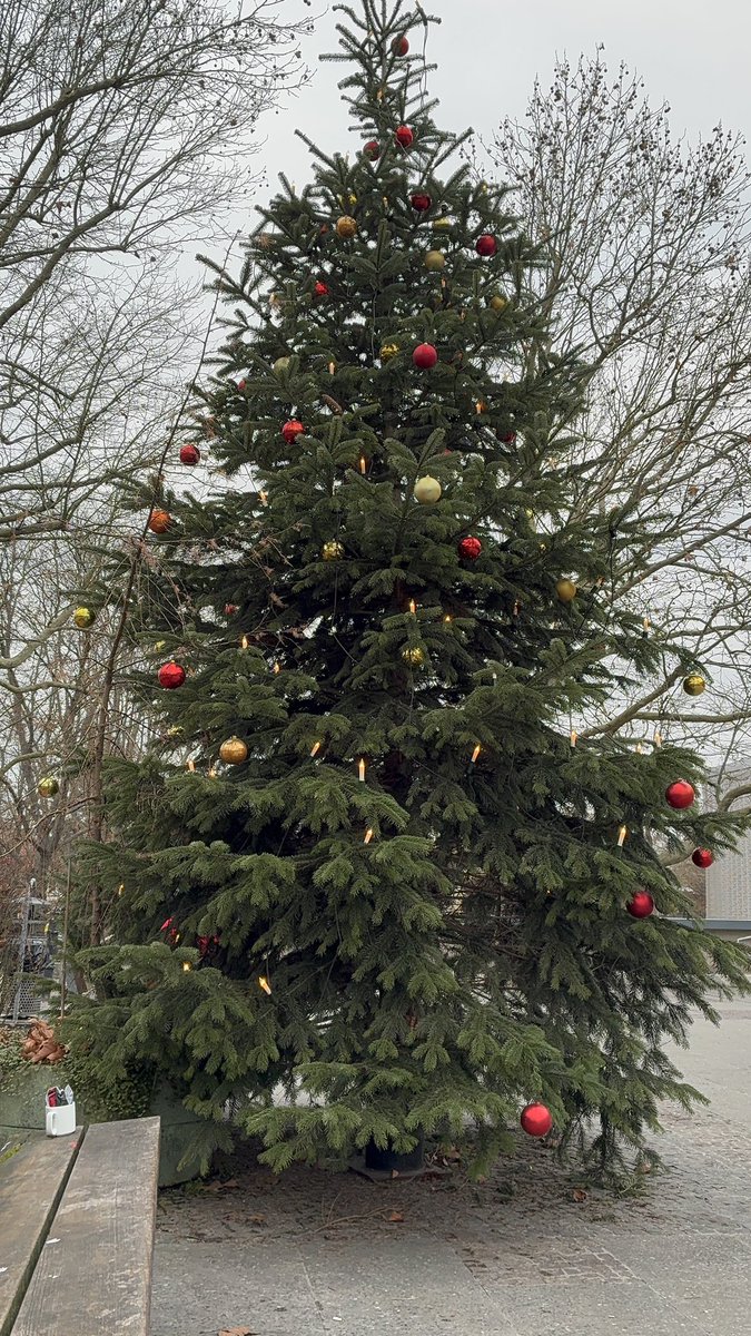 waiting for my friend next to le tree :>