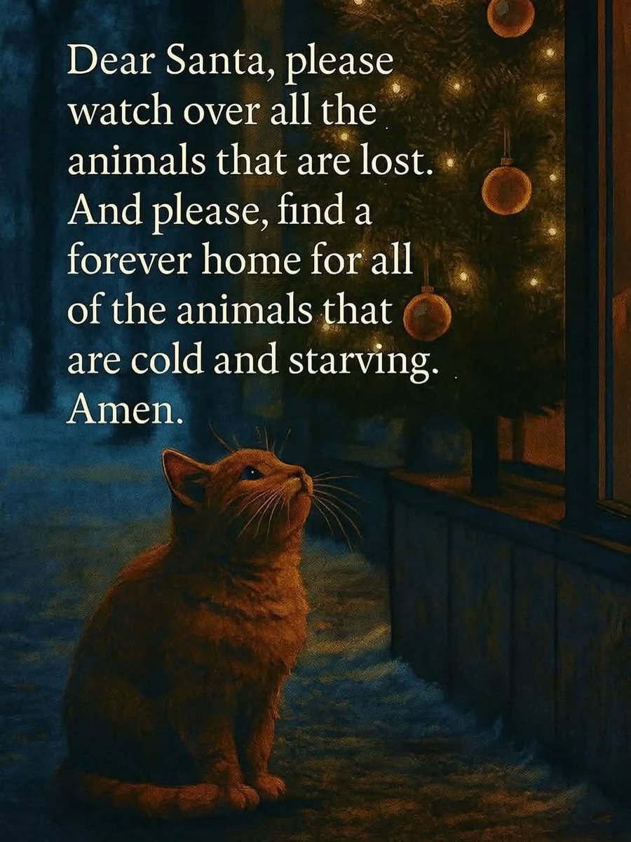 We don't deserve cats 😺 (@catsareblessing) on Twitter photo 