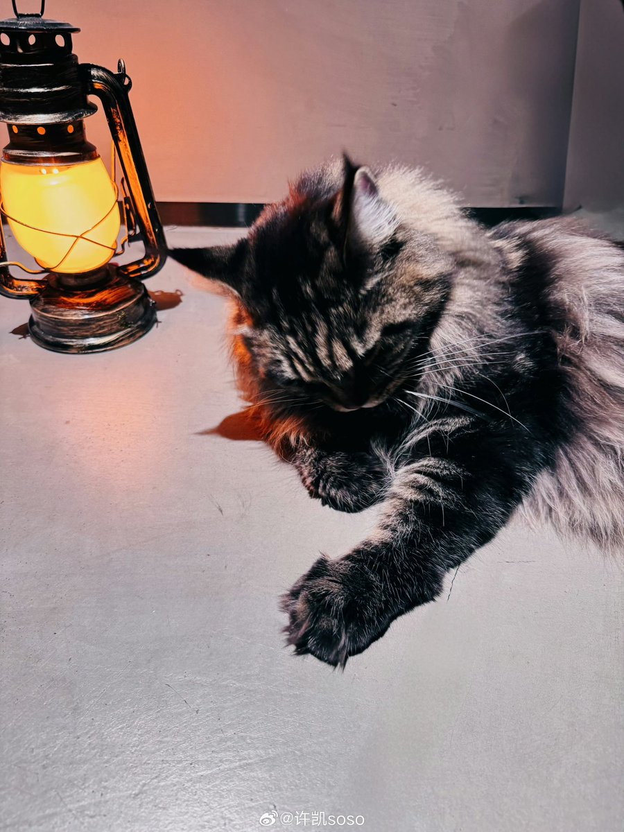 추억의 랜턴🏮