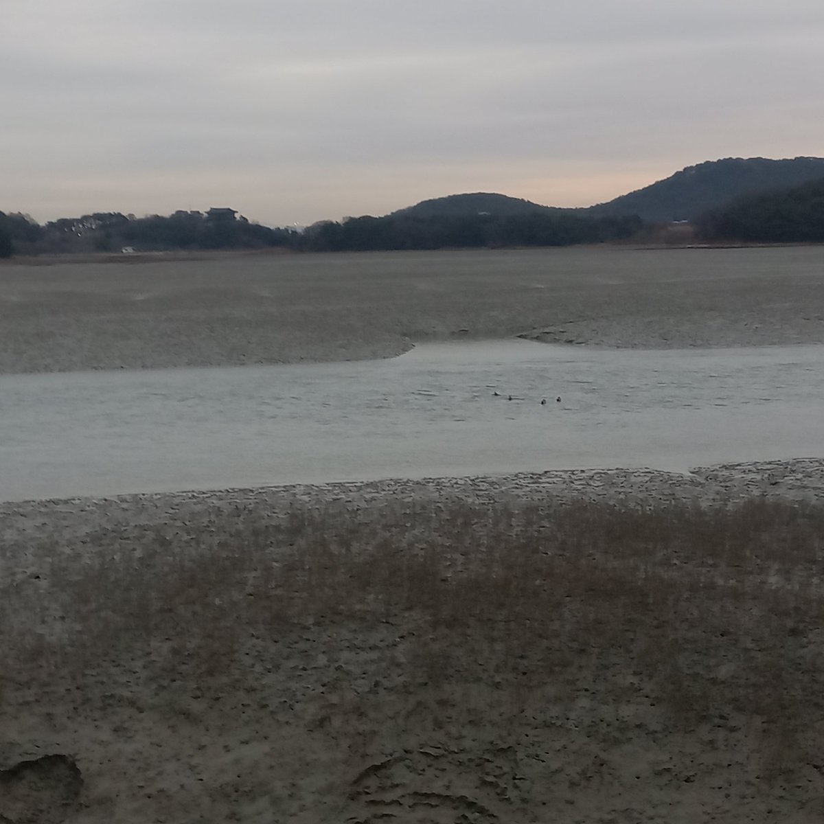 12/22~12/23, 1박 2일간의 우리팀 워크숍 다녀오기!
대부도 펜션밸리 단지로 다녀왔는데...
날씨도 좋고 (회사 출근 아니여서? 😂) 재밌었던 날이었다. 올해는 부서 전체 말고 팀으로 진행했던 터라 조금 걱정했는데 적당히 즐기고 아침에는 모닝산책으로 나의 시간을 야무지게 가졌던 날! :)