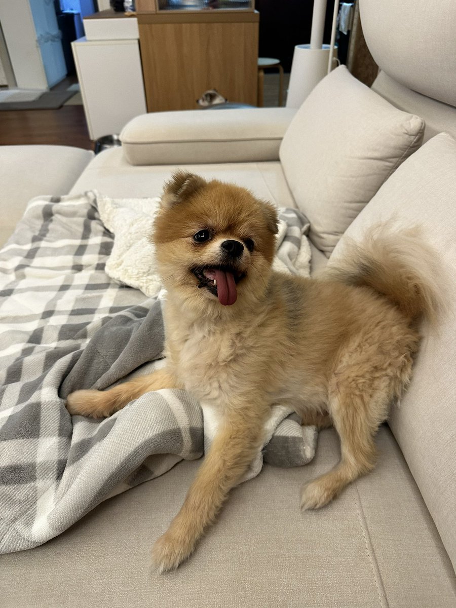 아주 신났어 그냥