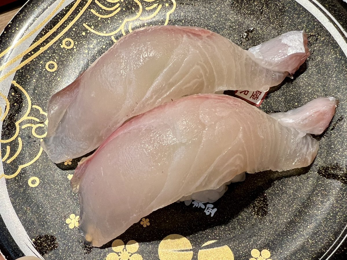 福タマさん<a href="/fuku_tamamushi/">福タマ</a>に学会賞の受賞祝いをしていただきました。お魚美味しい！ブリのたたきとカンパチが大好物です。