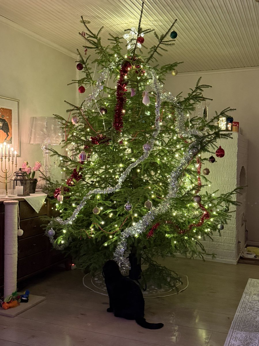 Tontut ovat tiputelleet yöllä kuusesta koristeita, Armi 😻 tarkastaa vahingot.
Hyvää joulua kaikille! 🎄😻