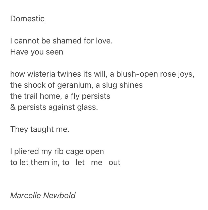 marcellenewbold's tweet image. Seasons Greetings to @TopTweetTuesday poets. Its been a wonderful year of poetry, I've enjoyed my Tuesday nights reading in the bath🛀! Many thanks to the poets, hosts, and especially @MatthewMCSmith. Tricky to choose 3 poems from the year, as the prompts have been so diverse