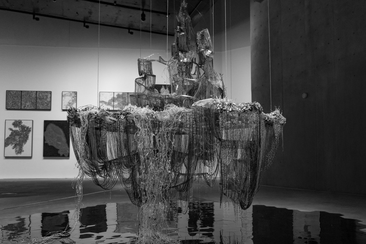 모노크롬과 함께 한 첫 날.