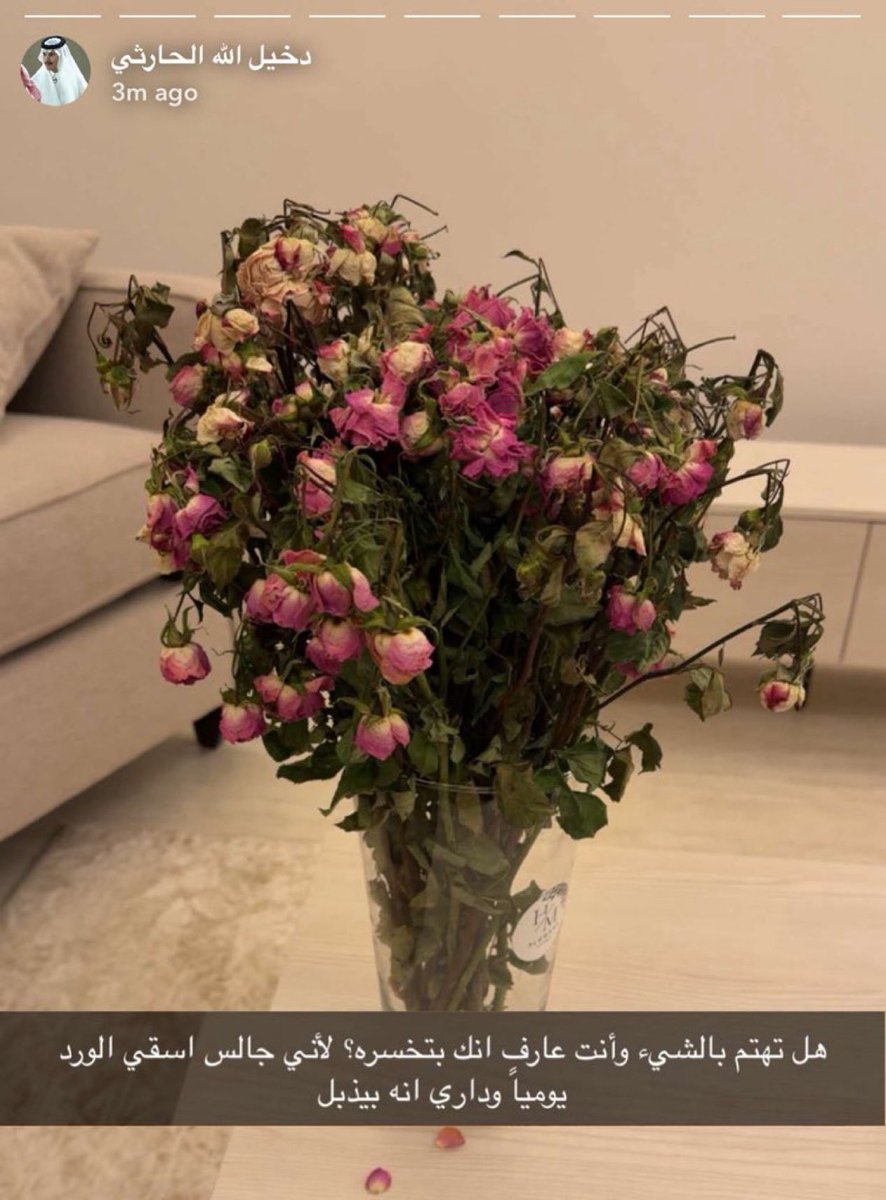 صبّارة للتصعيد🌵. tweet media